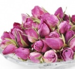 Pink Rose Bud