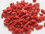 Barbary Wolfberry Fruit