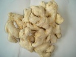 Ginger