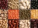 Bean