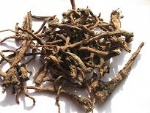 Dandelion/Taraxacum Root