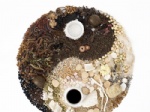 Herbal Extract