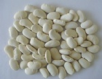 White Kidney Bean