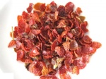 Rose Canina Shell